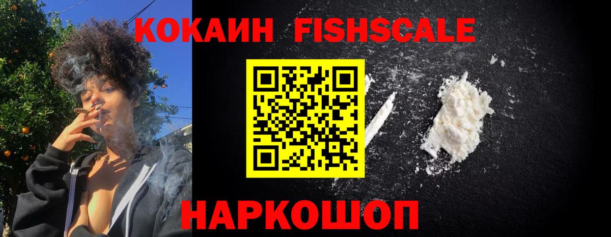 COCAIN Fish Scale  КОКАИН  Вход с VPN  Звенигород  COCAIN Боливия 