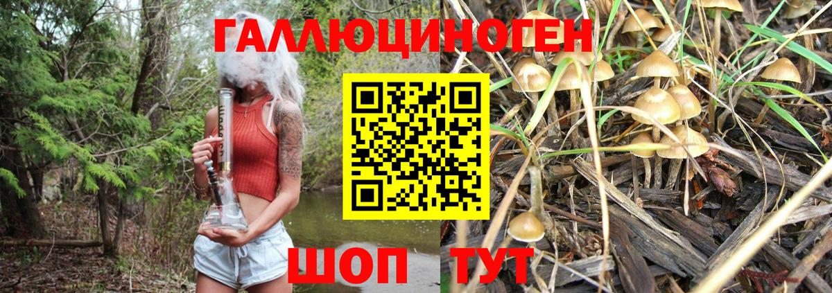 Звенигород  Галлюциногенные грибы GOLDEN TEACHER  Вход с VPN 